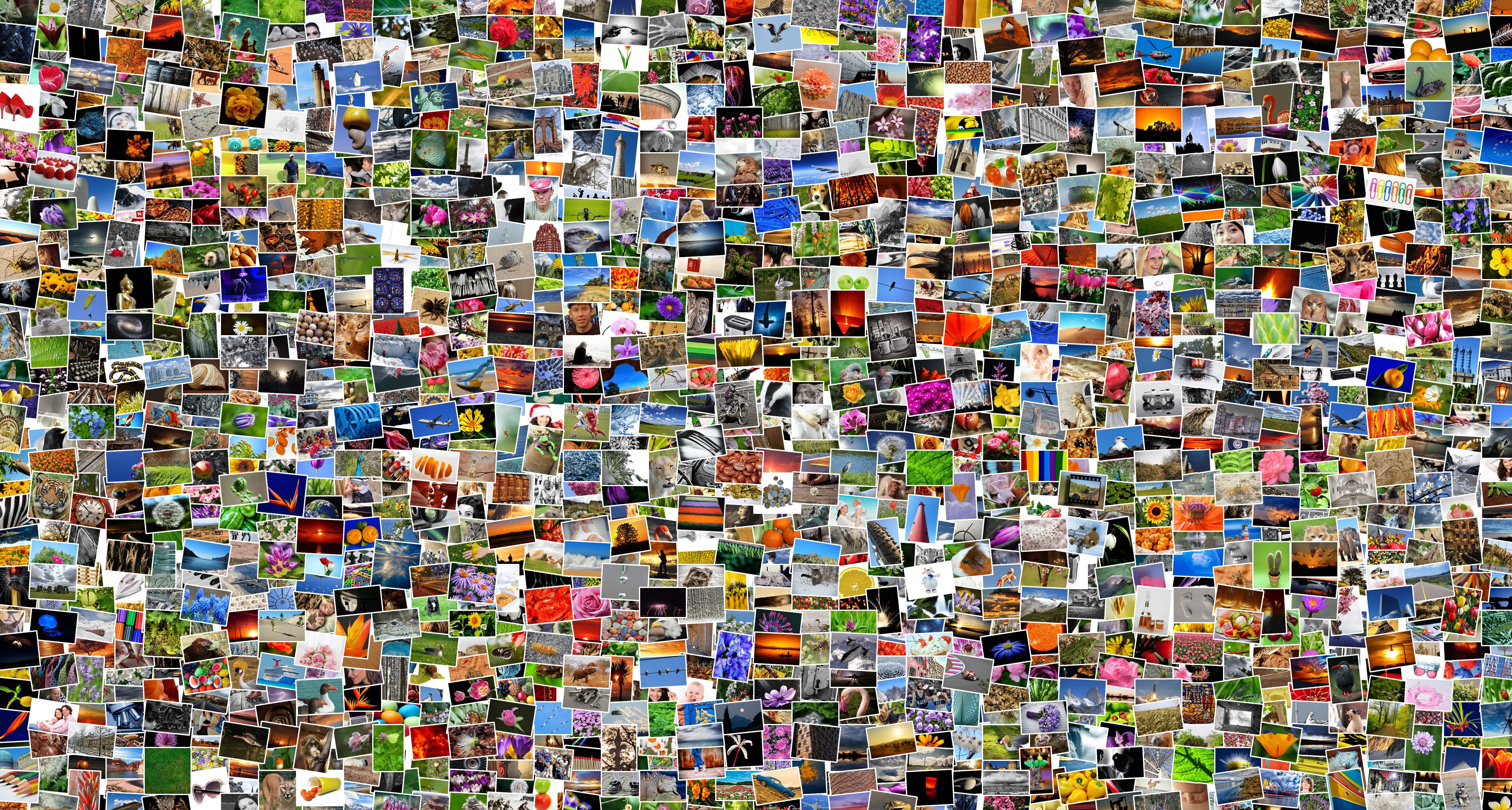 Visual Analysis & Collection Research
